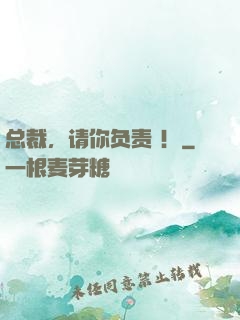 总裁，请你负责 ！